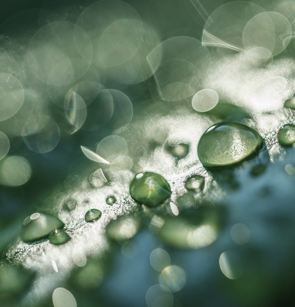 피부에 스며드는 자연