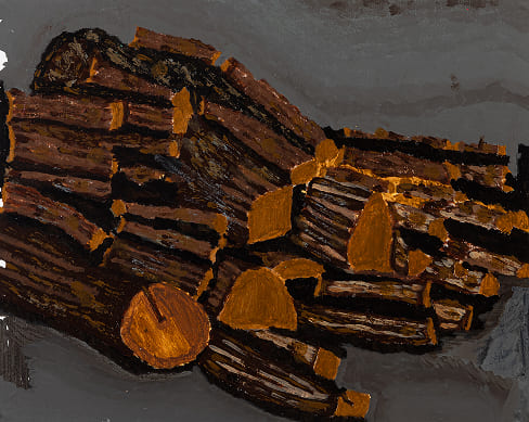 김지호 / 지호나무